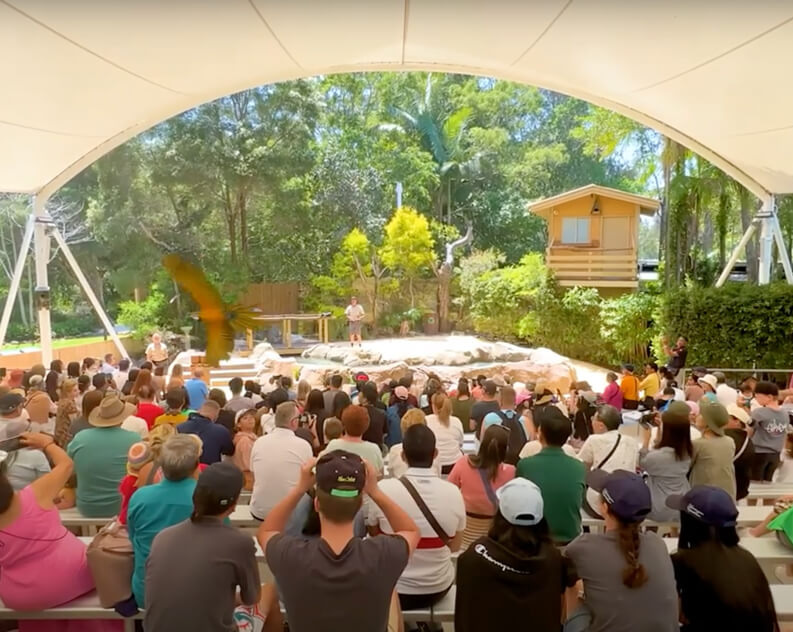 Large crowd seated in an outdoor amphitheater watching a parrot demonstration.