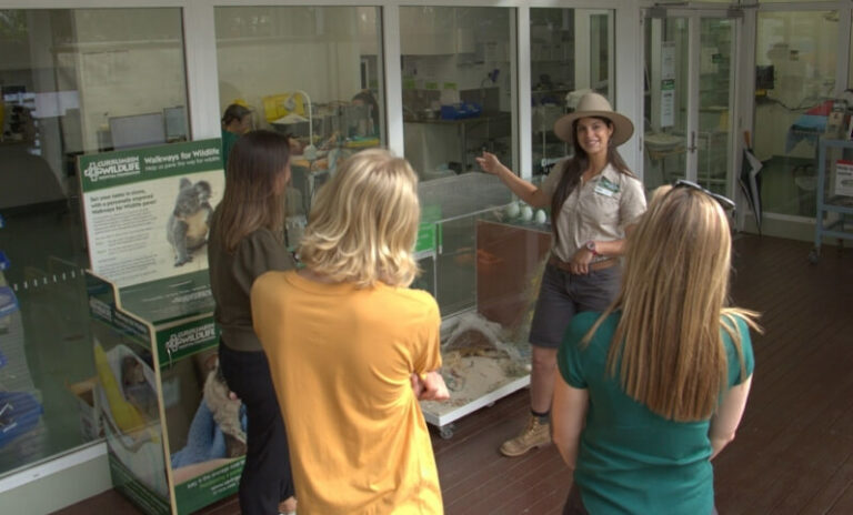 Group of people listening to a wildlife rehabilitator giving a presentation in a wildlife center.