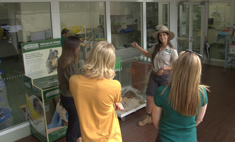 Group of people listening to a wildlife rehabilitator giving a presentation in a wildlife center.