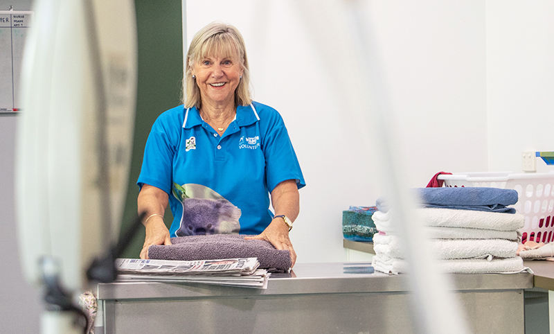 A woman wearing a blue polo shirt stands behind a counter, folding towels in a laundry room with a basket of folded laundry beside her.