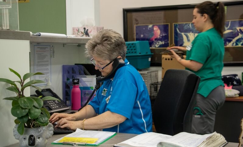 A woman in a blue shirt answers the phone while filling out paperwork at an office desk with plants, folders, and office supplies.