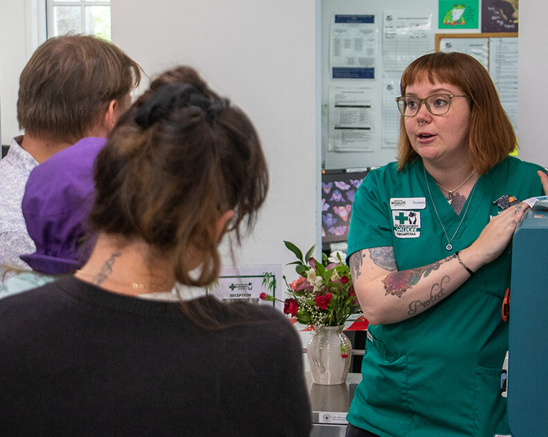 Veterinary clinic receptionist interacting with patients.