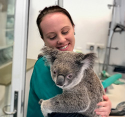 Woman smiling in green shirt holding koala patient in wildlife medical setting.