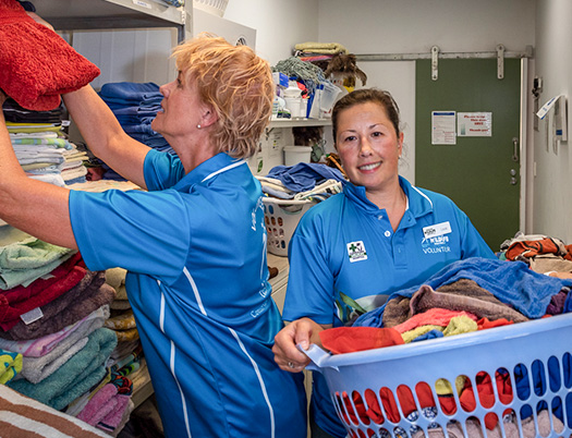 Two women in blue uniforms sort and organize folded towels in a storage room; one reaches a shelf while the other holds a laundry basket filled with towels.