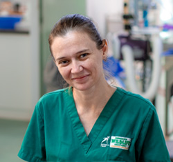 Smiling female wildlife vet nurse in medical setting