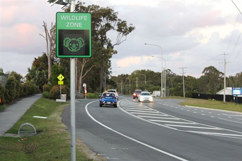 Gold Coast City Council Installs New Koala Speed Signs