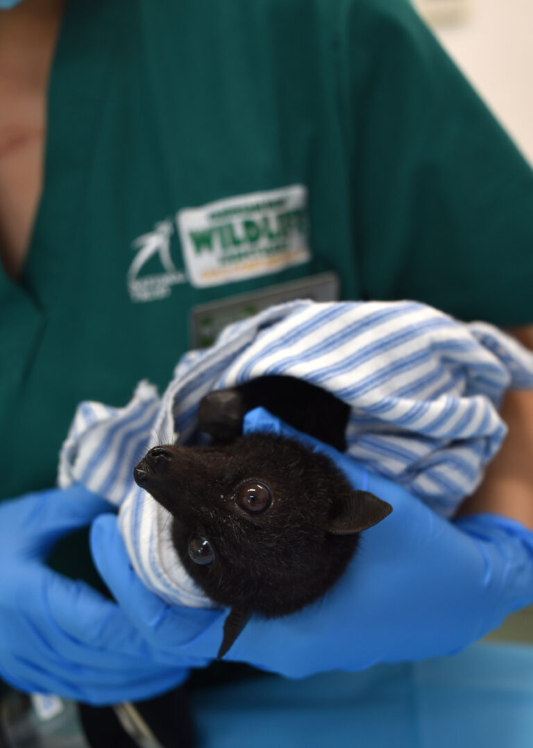 Wish List Items Save Lives Every Day