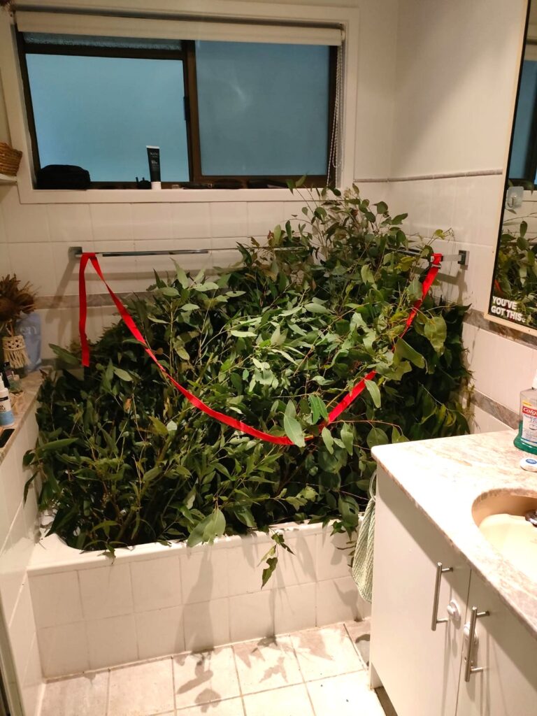 Bathtub at home filled with eucalyptus leaves
