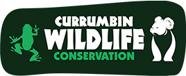 Currumbin Wildlife Conservation logo