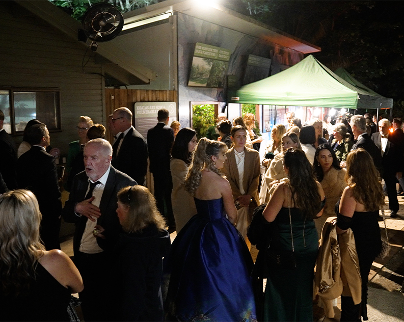 Guests roam around outside Gala
