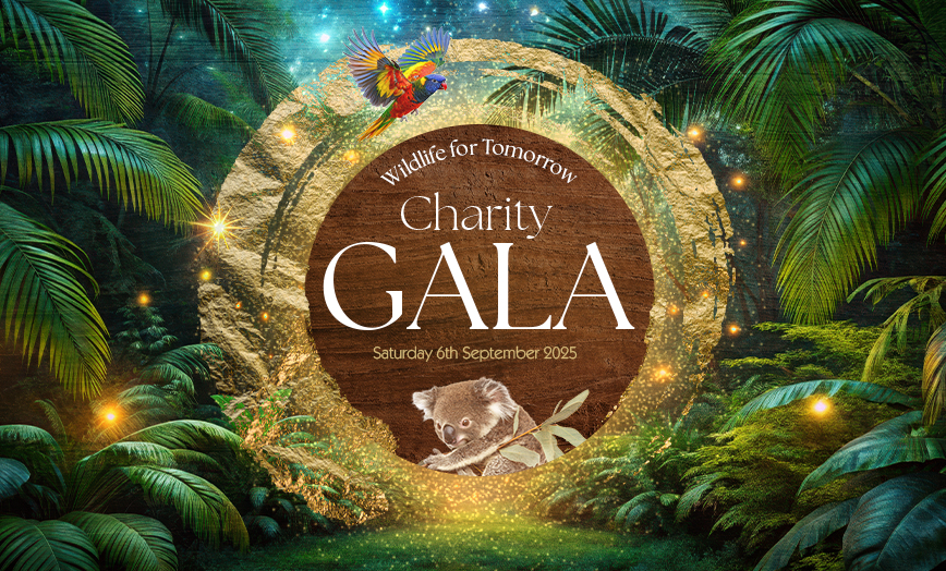 image representing wildlife for tomorrow charity gala