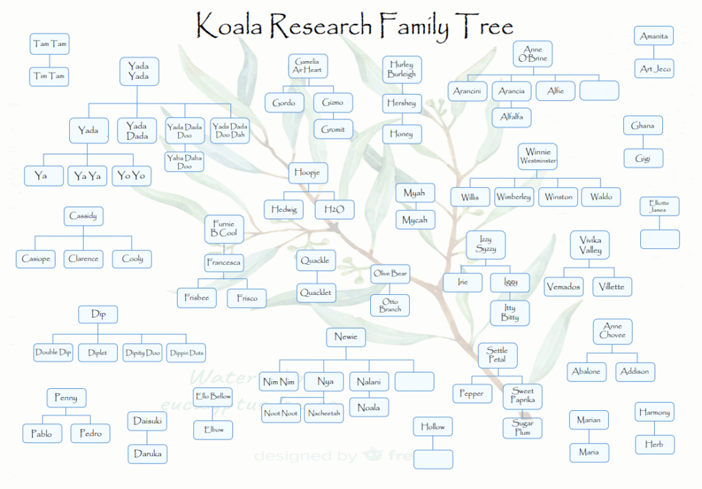 koala family tree vaccine trial