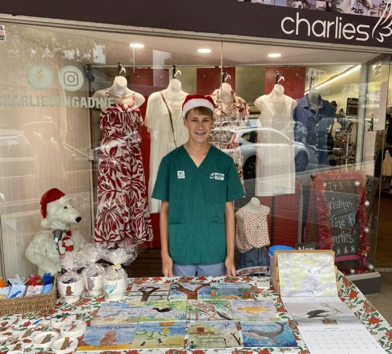 Teenage boy wearing green clinical shirt and Christmas hat, selling wildlife books, pot plants and calendars displayed on a table