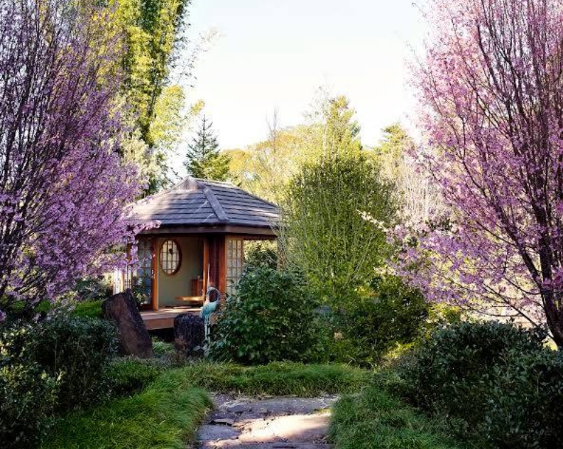 Japanese teahouse nestled amongst blooming cherry blossom trees and manicured garden plants