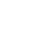 Koala face icon
