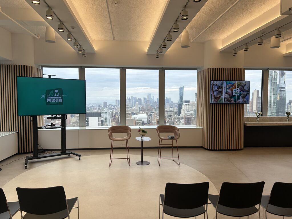 Inside the Murdoch Center, American Australian Association with chairs and TV screen set up