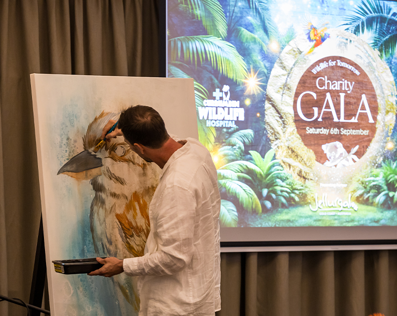 A male artist doing a live painting of a Kookaburra on a large canvas. Next to him is a media screen with a green, golden and brownish graphic on it about the Wildlife for Tomorrow Charity Gala