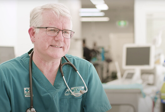 A doctor in teal scrubs with a stethoscope in a medical setting.