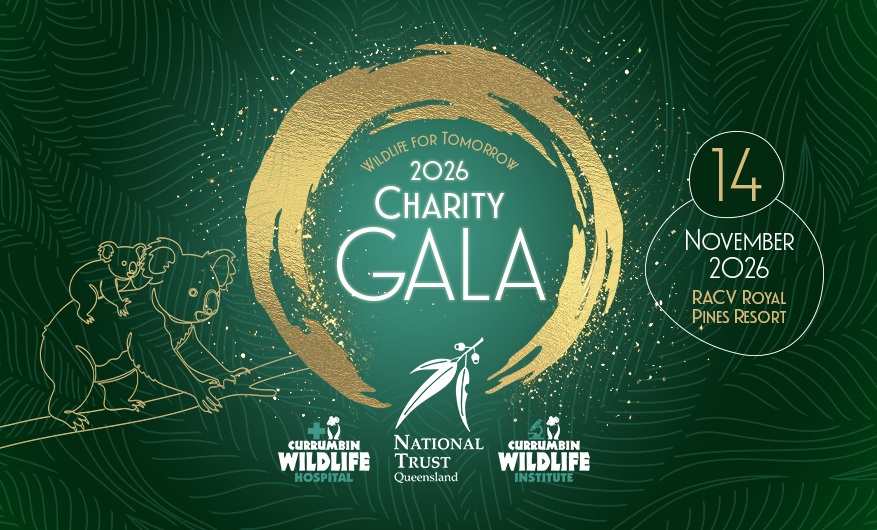 A green and golden graphic. In the centre is the text Wildlife for Tomorrow 2026 Charity Gala surrounded by a golden brush paint circle with three logos on the bottom of it. On the left is a golden Koala illustration and on the right a gold and white overlay saying 14 November 2026 RACV Royal Pines Resort