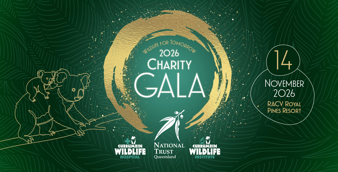 A green and golden graphic with a leafy pattern background. In the centre is the text Wildlife for Tomorrow 2026 Charity Gala surrounded by a golden brush paint circle with three logos on the bottom of it. On the left is a golden Koala illustration and on the right a gold and white overlay saying 14 November 2026 RACV Royal Pines Resort