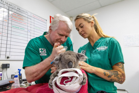 Senior Vet Dr Michael Pyne & Vet Nurse Heloise Renaux with Bamse
