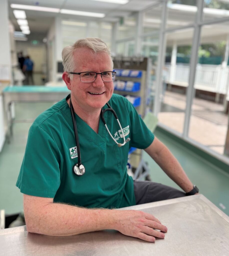 Dr Pyne, a male veterinarian sitting at a steel desk wearing green scrubs inside a wildlife hospital