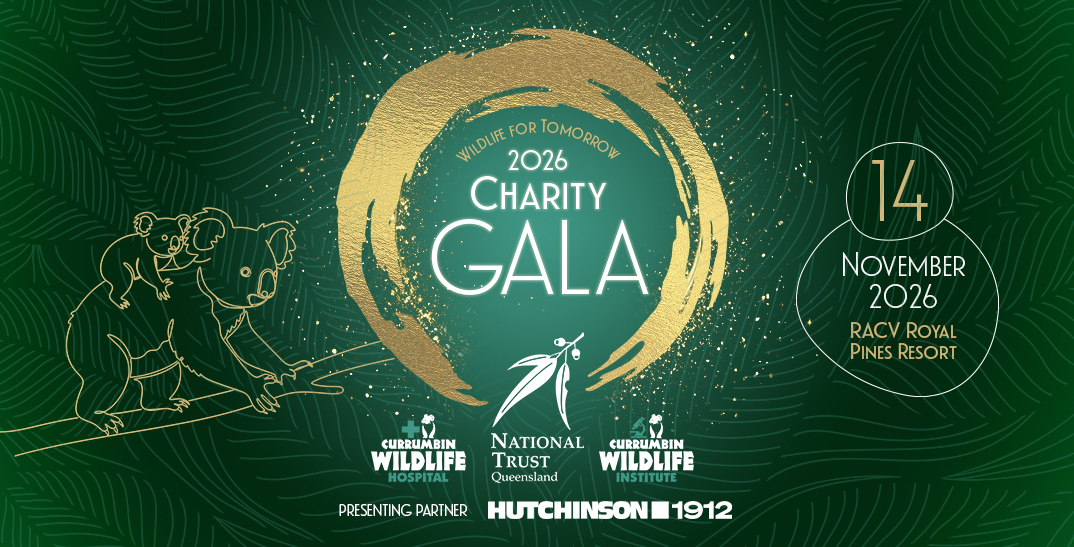 A green and golden graphic. In the centre is the text Wildlife for Tomorrow 2026 Charity Gala surrounded by a golden brush paint circle with three logos on the bottom of it. On the left is a golden Koala illustration and on the right a gold and white overlay saying 14 November 2026 RACV Royal Pines Resort